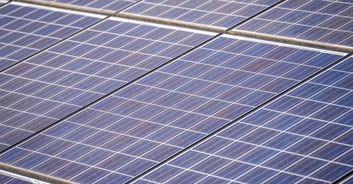 Les Meilleures Pratiques pour Entretenir Vos Panneaux Solaires Économiques