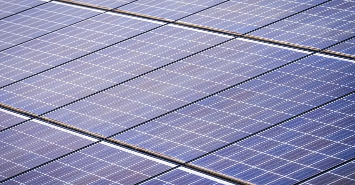 Les Avantages Cachés des Panneaux Solaires Économiques