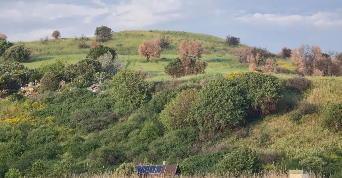 Pourquoi Les Panneaux Solaires Sont Idéaux pour Votre Mobil-Home