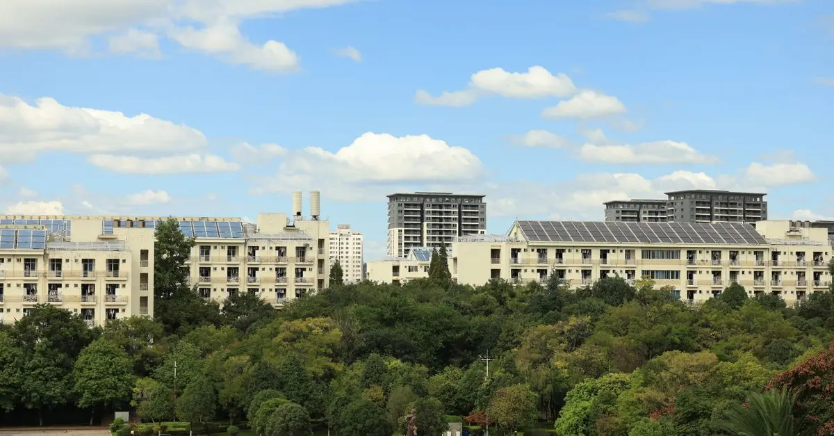 Les Avantages Écologiques des Panneaux Solaires Économiques