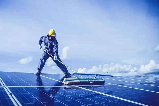 Panneaux Solaires Économiques : Comment Choisir le Bon Modèle