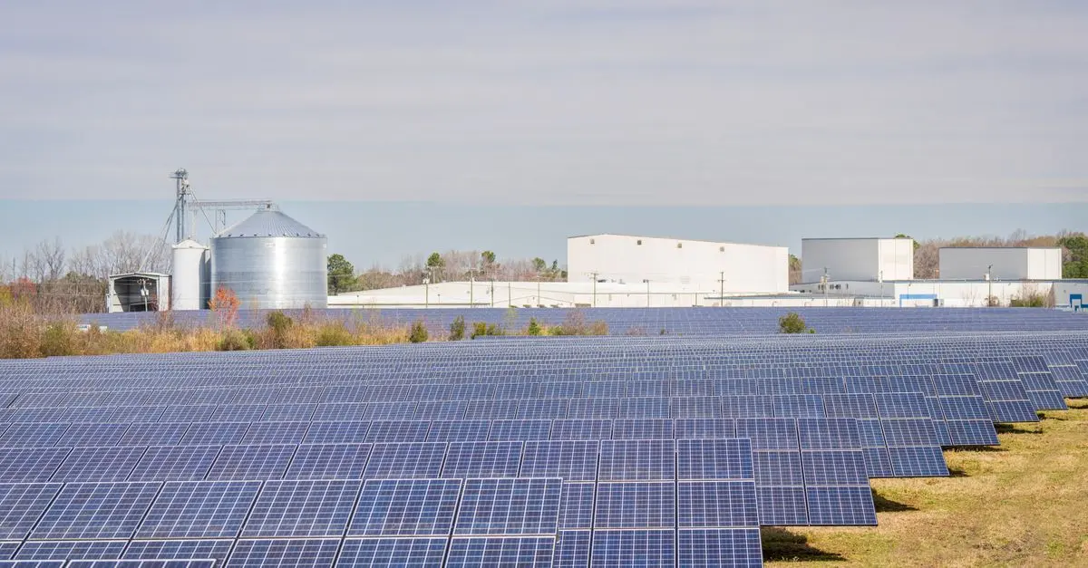 Les 7 Meilleures Astuces pour Économiser avec Panneaux Solaires Économiques